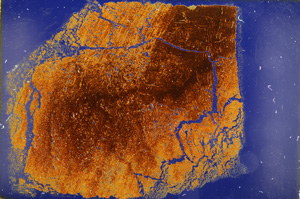 Cross Polarized, E18815