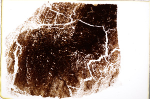 Plane Polarized, E18815