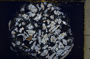 Cross Polarized, E18831