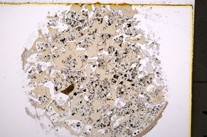 Plane Polarized, E18831