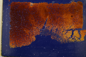 Cross Polarized, E18839