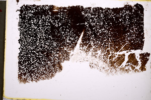 Plane Polarized, E18839