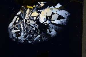Cross Polarized, E18841/A