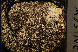 Cross Polarized, E18846/A