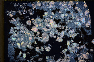 Cross Polarized, E18851