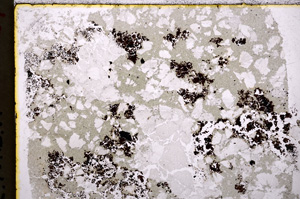 Plane Polarized, E18851
