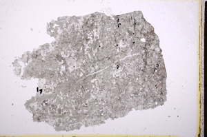 Plane Polarized, E18853