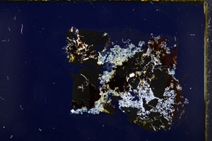 Cross Polarized, E18855