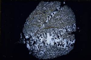 Cross Polarized, E18859