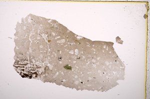 Plane Polarized, E18865
