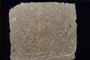 Cross Polarized, E18867