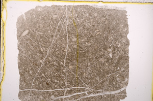 Plane Polarized, E18867