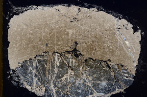 Cross Polarized, E18868