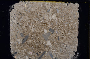 Cross Polarized, E18869