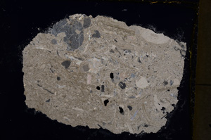 Cross Polarized, E18870