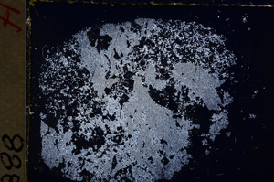Cross Polarized, E18879