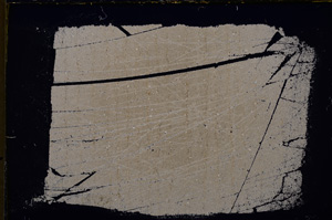 Cross Polarized, E18880