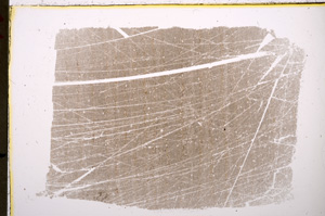 Plane Polarized, E18880