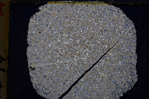 Cross Polarized, E18883