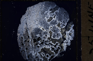 Cross Polarized, E18888