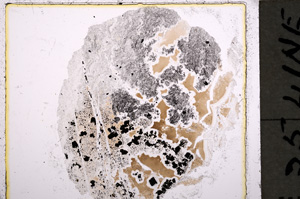 Plane Polarized, E18888