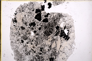 Plane Polarized, E18889