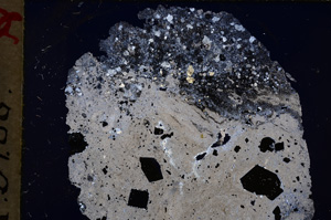 Cross Polarized, E18890