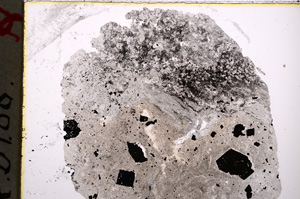 Plane Polarized, E18890