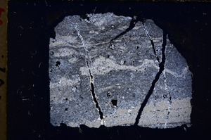 Cross Polarized, E18891