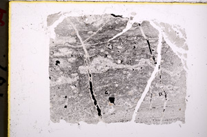 Plane Polarized, E18891