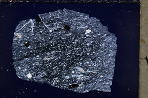 Cross Polarized, E18892