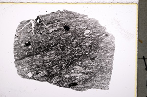 Plane Polarized, E18892