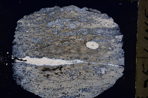 Cross Polarized, E18893