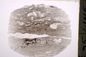 Plane Polarized, E18893