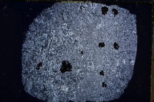 Cross Polarized, E18894