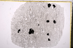 Plane Polarized, E18894