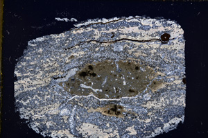 Cross Polarized, E18895