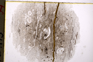 Plane Polarized, E18896