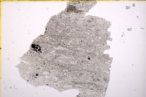 Plane Polarized, E18897