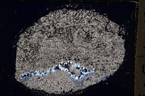 Cross Polarized, E18900