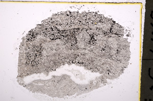 Plane Polarized, E18900