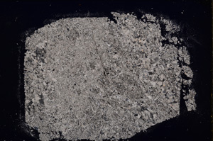 Cross Polarized, E18901