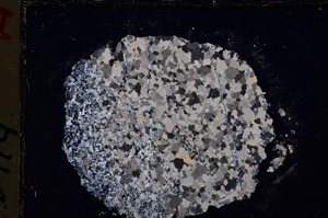 Cross Polarized, E18902