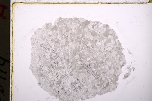 Plane Polarized, E18902