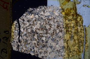 Cross Polarized, E18903