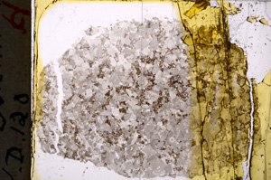 Plane Polarized, E18903