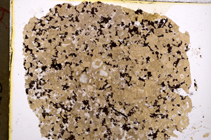 Plane Polarized, E18903/A