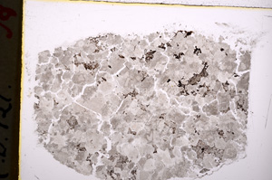 Plane Polarized, E18904