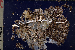 Cross Polarized, E18905