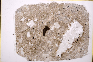 Plane Polarized, E18906